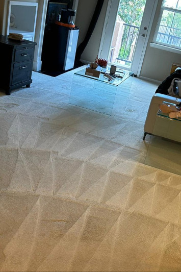 contact about area rug cleaning nj carpet cleaning nj area rug cleaning in cedar knolls carpet cleaning in cedar knolls